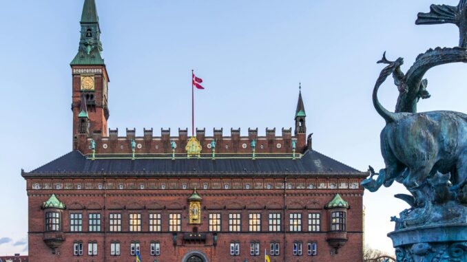 Hvem er en dygtig privat læsevejleder i København?
